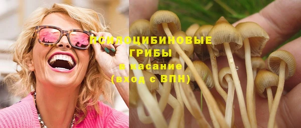 дмт Алексин